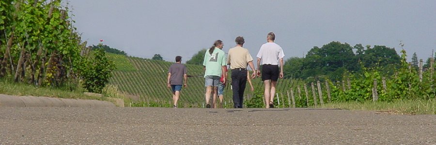 Wandern am Götzenberg