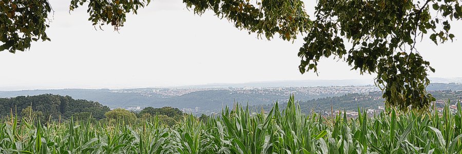 Ausblick von der Katharinenlinde