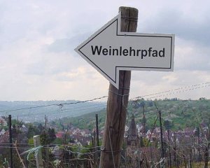 Der Weinlehrpfad in Uhlbach